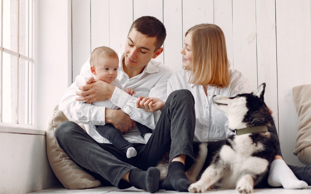 Quelles démarches sont nécessaires pour une adoption ?